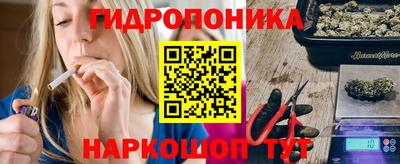 дмт Будённовск