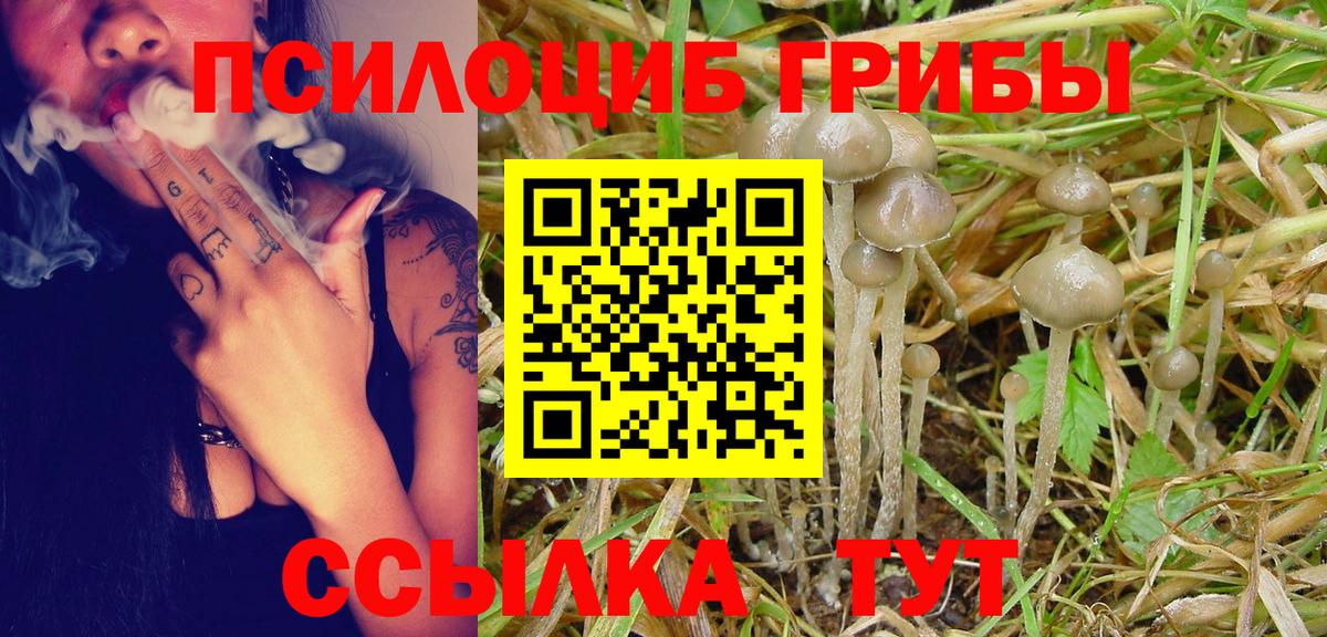 Можайск  Псилоцибиновые грибы MAGIC MUSHROOMS  как найти закладки  Вход с VPN 